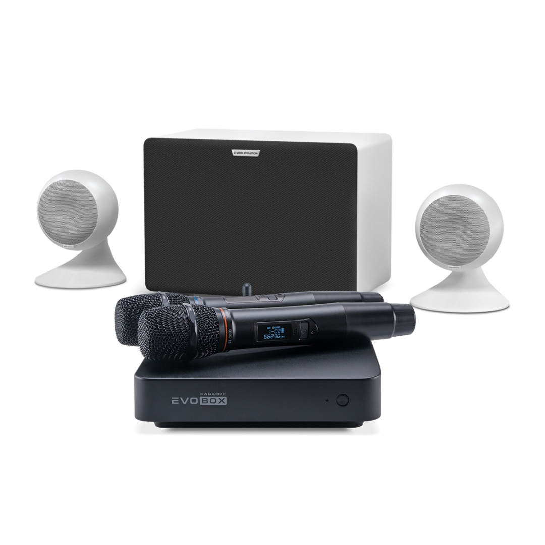 караоке-комплект EVOBOX Classic + EvoSound Sphere 2.1 в Пыть-Яхе