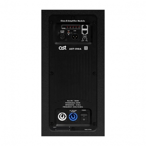 Активная акустическая система AST-310A в Пыть-Яхе