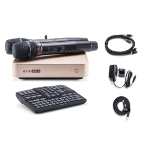 EVOBOX Classic караоке-система для дома в Пыть-Яхе