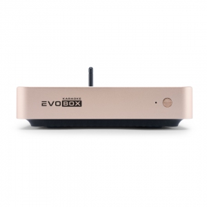 EVOBOX Plus караоке-система для дома в Пыть-Яхе