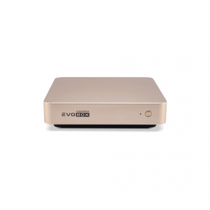 EVOBOX с микрофонами в Пыть-Яхе